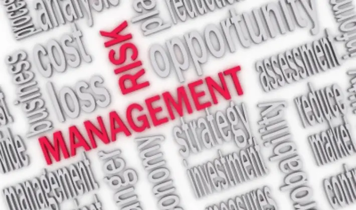 Project Risk Management