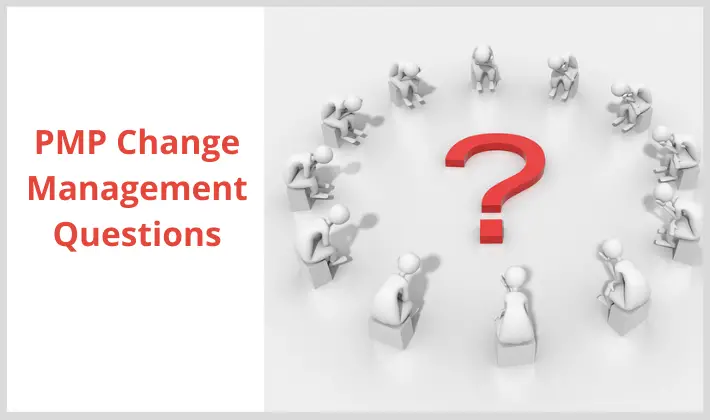 PMI Change Management process