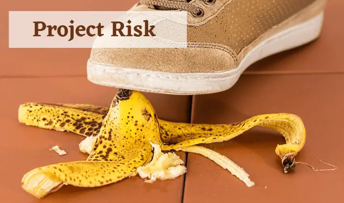 project risk