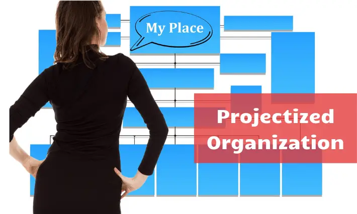 Projectized Organization Chart